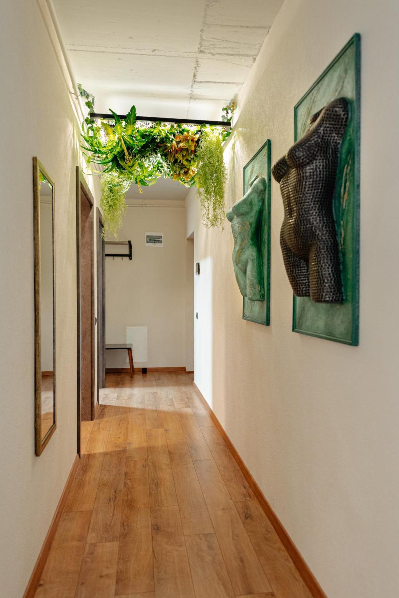 Centro Accommodation Клуж-Напока Екстериор снимка
